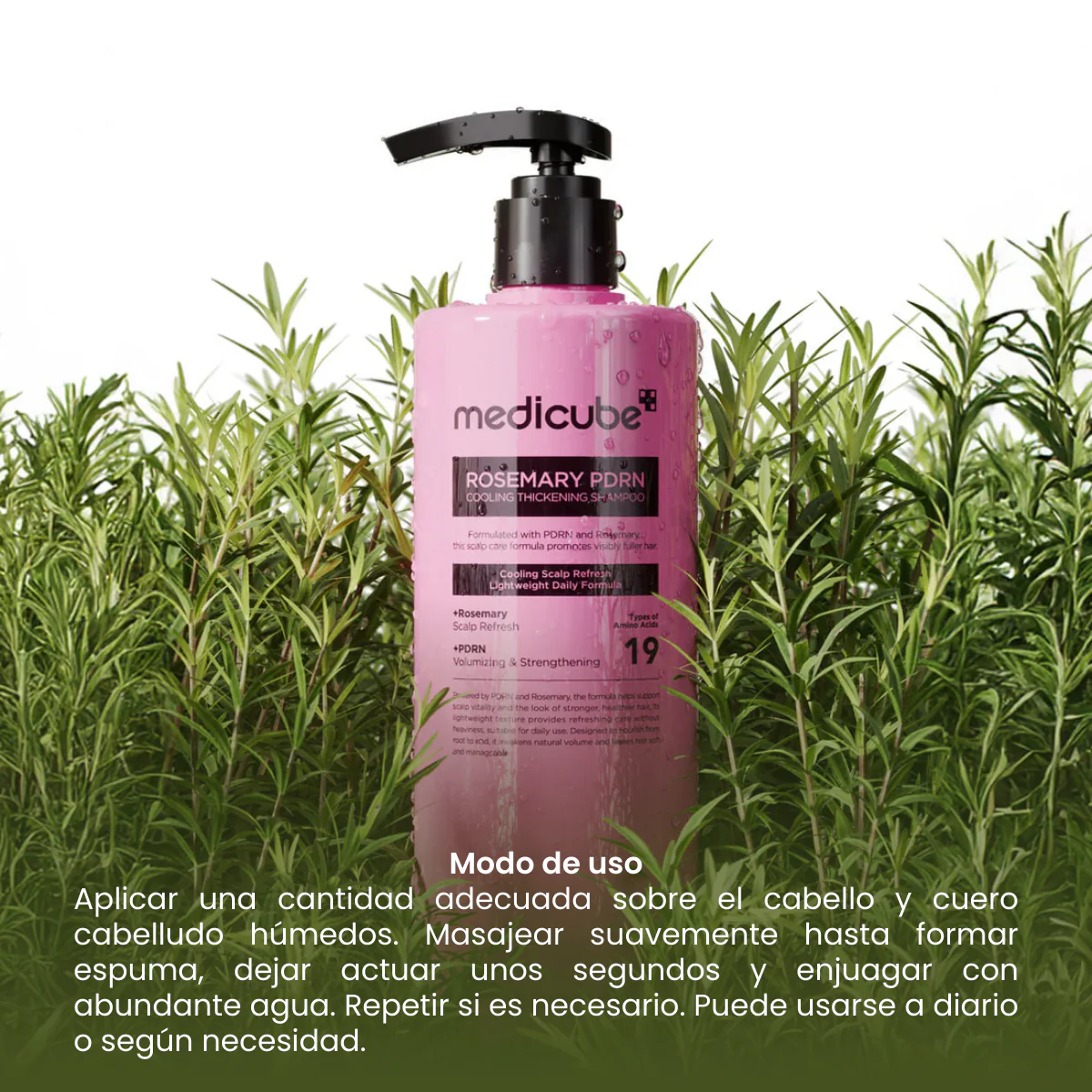 MEDICUBE ROSEMARY PDRN  SHAMPOO ACLARANTE 400 ML - Image 3