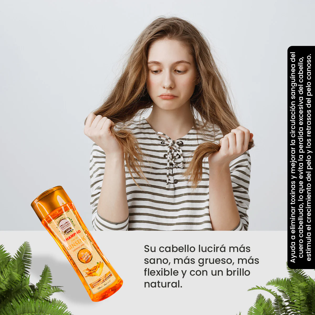 Shampoo Ginseng - Nevada 420Ml - Image 2