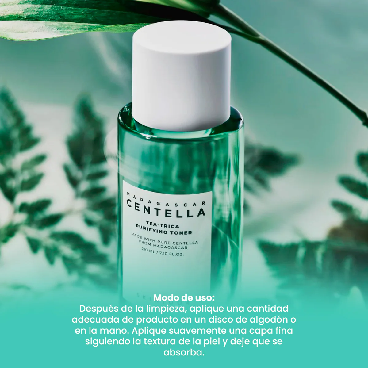 SKIN1004 – TÓNICO FACIAL PURIFICANTE – MADAGASCAR CENTELLA TEA-TRICA PURIFYING TONER – 210ML - Image 3
